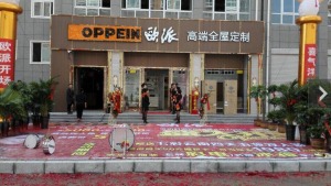 公司介绍