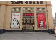 公司介绍