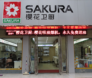 公司介绍