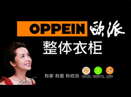 公司介绍