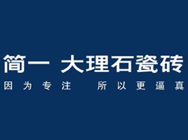 公司介绍