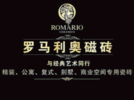 公司介绍
