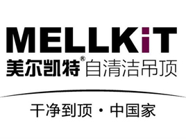 公司介绍