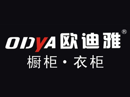 公司介绍