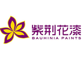 公司介绍