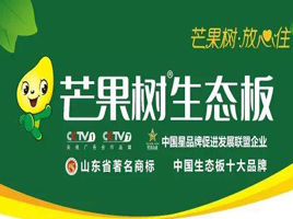 公司介绍