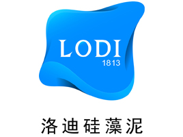 公司介绍