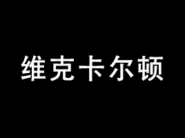 公司介绍