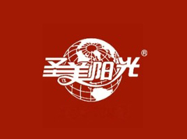 公司介绍